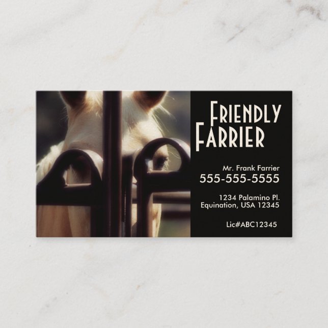 Visitenkarten Visitenkarte (Vorderseite)