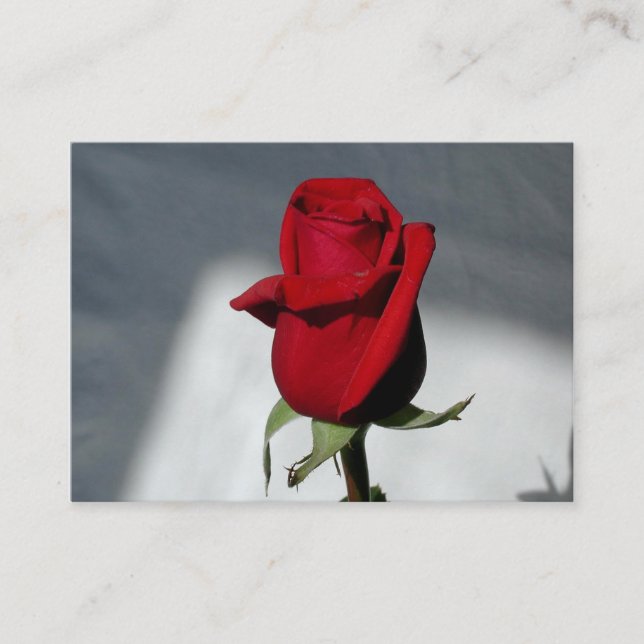 Visitenkarten Visitenkarte (Vorderseite)