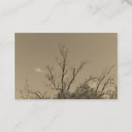 VisitenkarteS ART&DESIGN STYLE Visitenkarte