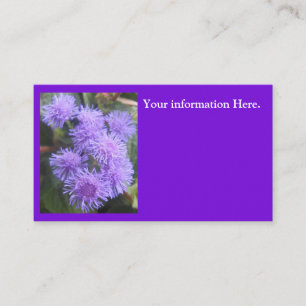 Viskate Visitenkarte