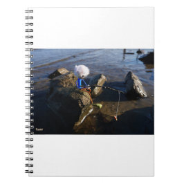 Vissende Fubby op een steen. Notizblock