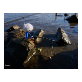 Vissende Fubby op een steen. Poster