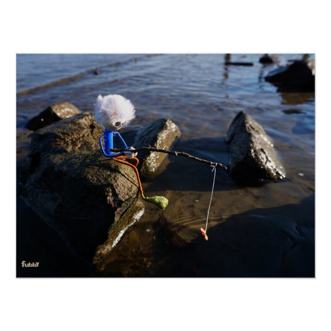 Vissende Fubby op een steen. Poster (Vorderseite)