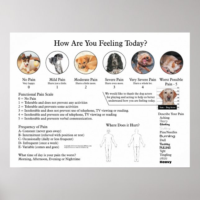 Visuelle Pain Scale Poster Wall Chart (Vorne)