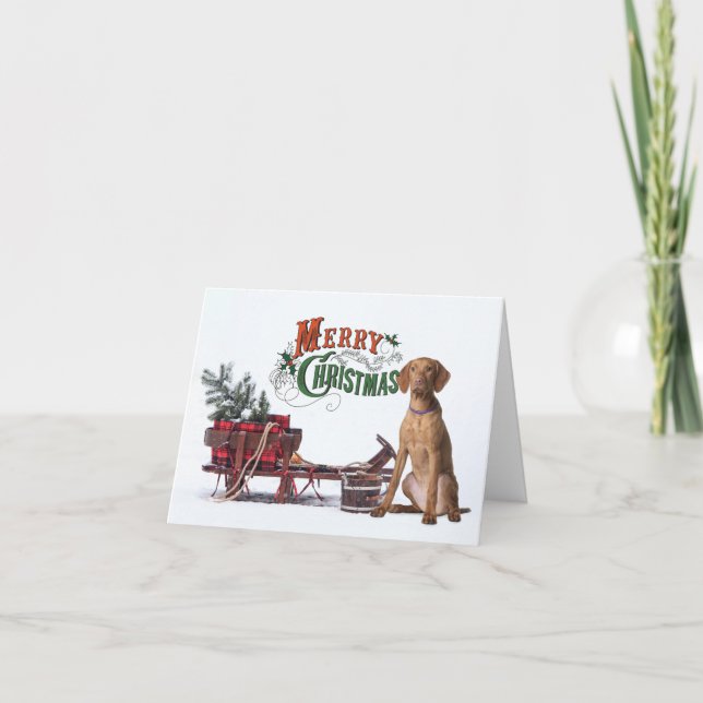 Viszla Weihnachten Karte (Vorderseite)