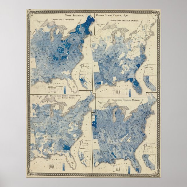 Vital-Statistik, United Staaten-Erhebung Poster (Vorne)