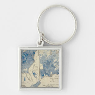 Vitale Statistiken, Volkszählung der Vereinten St Schlüsselanhänger