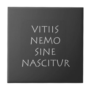 Vitiis nemo sine nascitur fliese