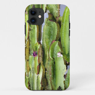 Vitoria Regis, Riesenwasserlililien im Amazonas Case-Mate iPhone Hülle