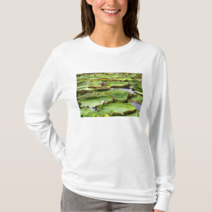 Vitoria Regis, Riesenwasserlililien im Amazonas T-Shirt