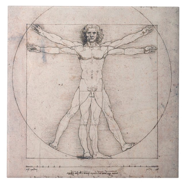 Vitruvian Man, Leonardo da Vinci Fliese (Vorderseite)