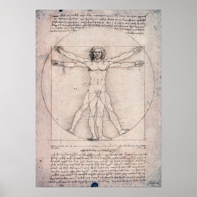Vitruvian Man, Leonardo da Vinci Poster (Vorne)