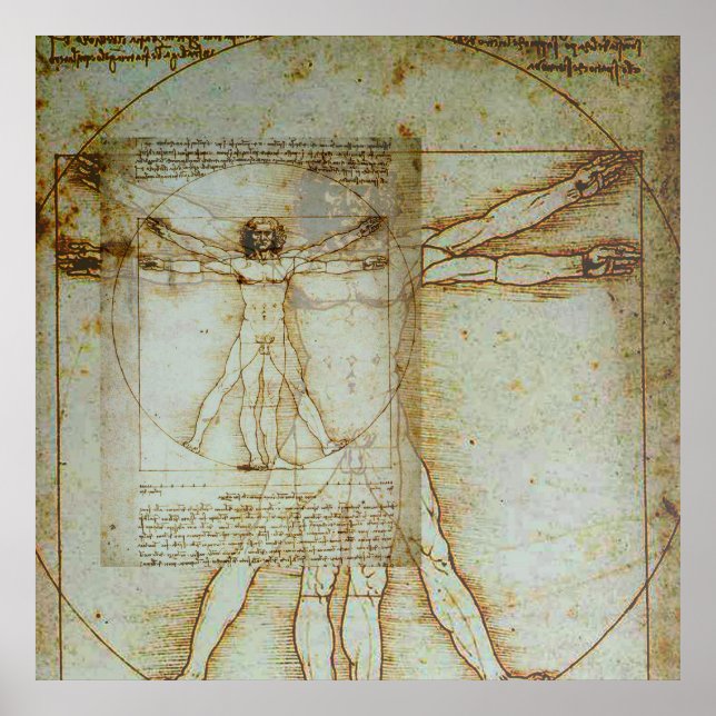 Vitruvian Man Poster (Vorne)