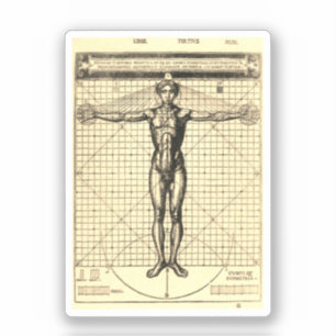 Vitruvian Man (Vitruvius: De architectura) Aufkleber