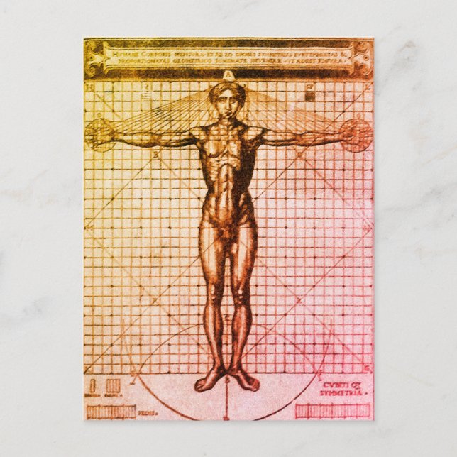 Vitruvian Man (Vitruvius: De architectura) Postcar Postkarte (Vorderseite)