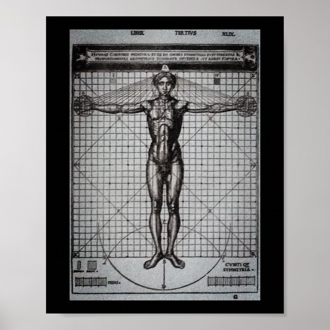 Vitruvian Man (Vitruvius: De architectura) Poster (Vorne)