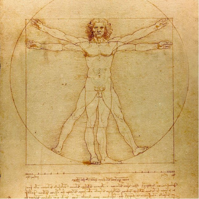 Vitruvian Man von Leonardo Da Vinci Freistehende Fotoskulptur (Vorne)