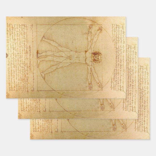 Vitruvian Man von Leonardo Da Vinci Geschenkpapier Set (Set)