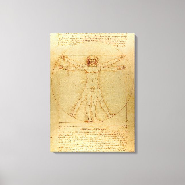 Vitruvian Man von Leonardo Da Vinci Leinwanddruck (Vorderseite)
