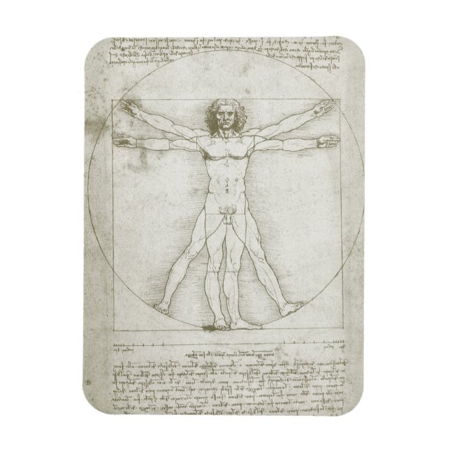 Vitruvian Man von Leonardo da Vinci Magnet (Vertikal)
