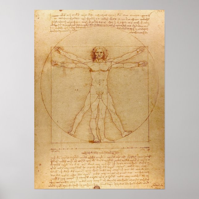 Vitruvian Man von Leonardo da Vinci Poster (Vorne)