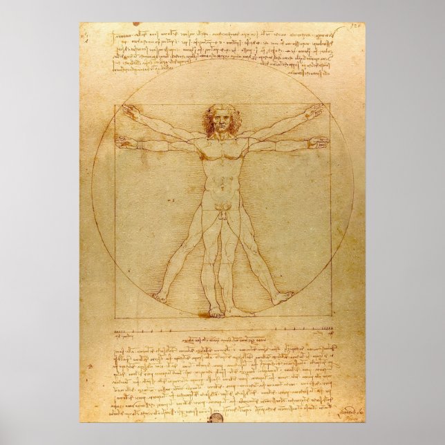 Vitruvian Man von Leonardo da Vinci Poster (Vorne)