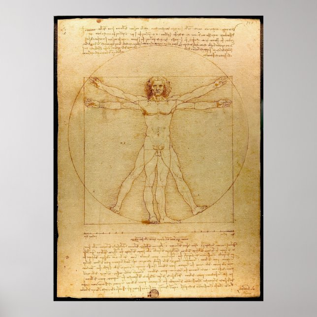 Vitruvian Man von Leonardo da Vinci Poster (Vorne)