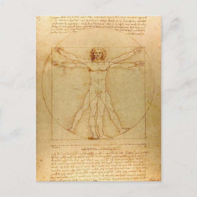 Vitruvian Man von Leonardo Da Vinci Postkarte (Vorderseite)