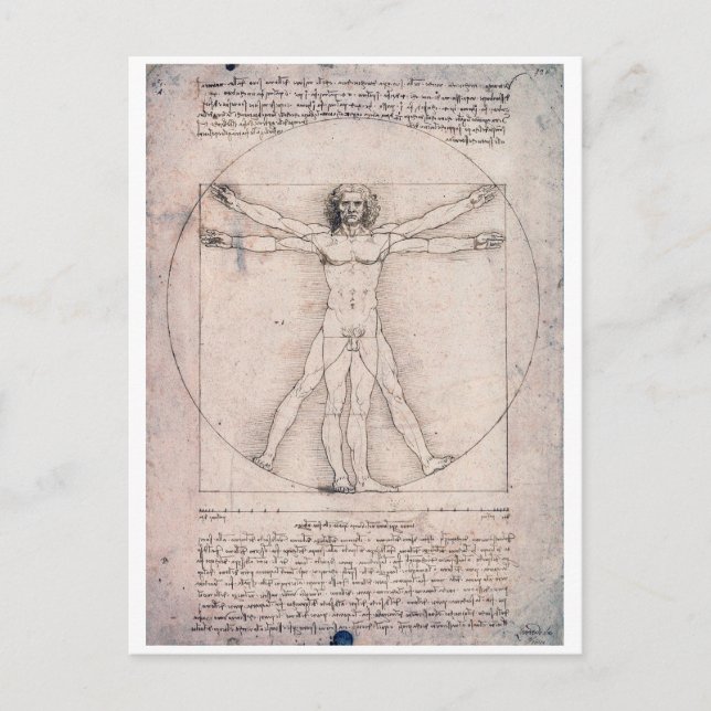 Vitruvian ManVitruvian Man, Leonardo da Vinci Postkarte (Vorderseite)