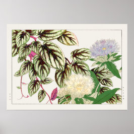 Vitus und Stokesia Blume von Tanigami Konan, Poster
