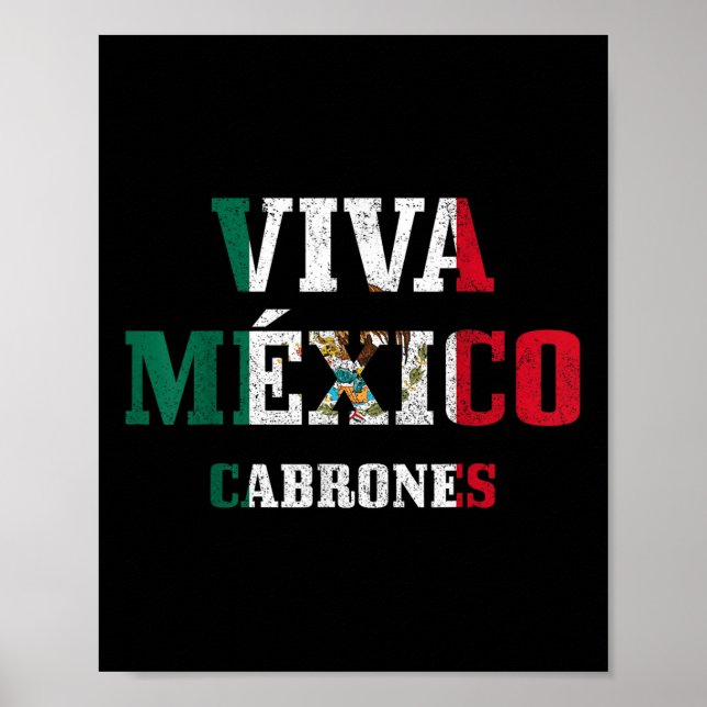 Viva Mexico Cabrones Funny Cinco De Mayo Mexican F Poster (Vorne)