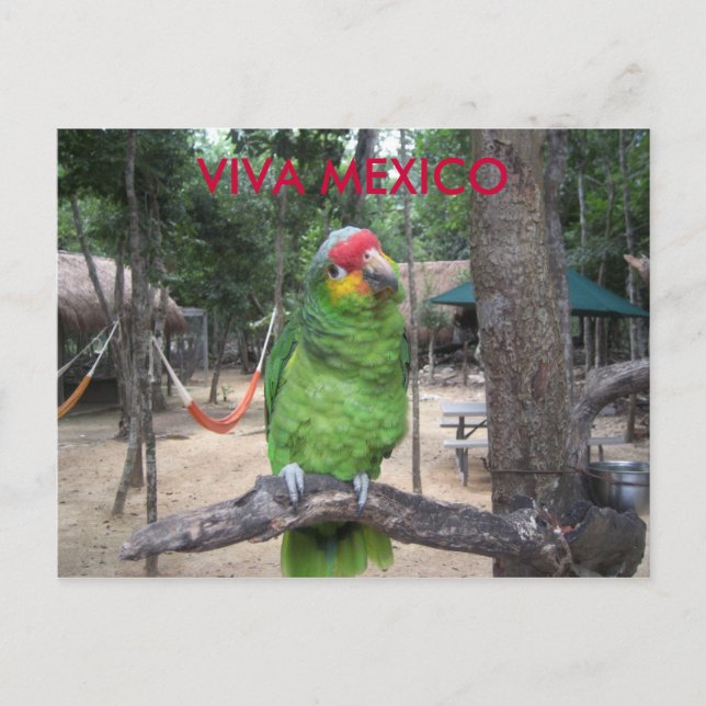 Viva Mexico Postkarte (Vorderseite)