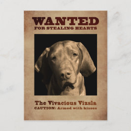 Vivacious Vizsla Postkarte