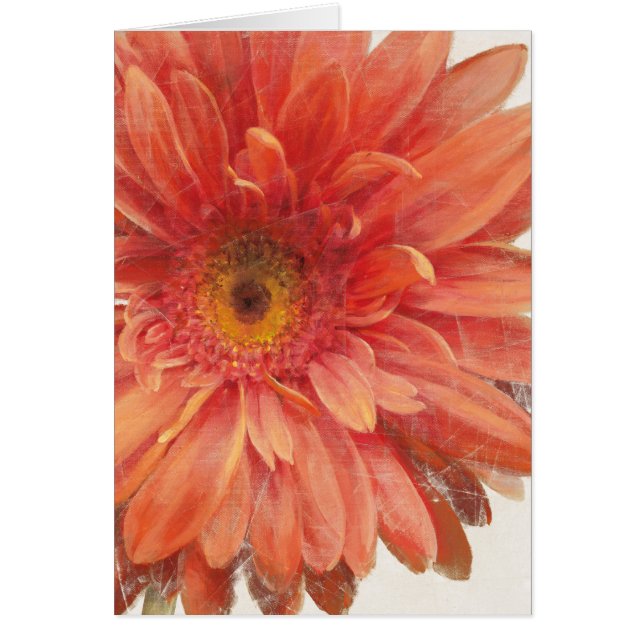 Viviane Daisy (Vorne)