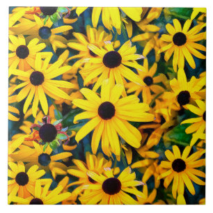 Vivid Black Mit Augen Susan Rudbeckia Melange Fliese