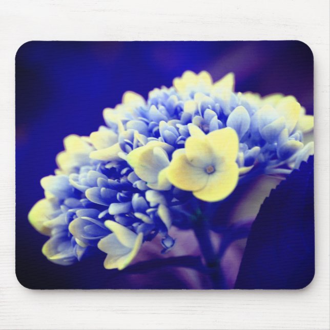 Vivid Blue Hydrangea Blume Mousepad (Vorne)