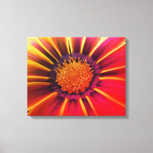 Vivid Color Gerber Daisy Leinwand