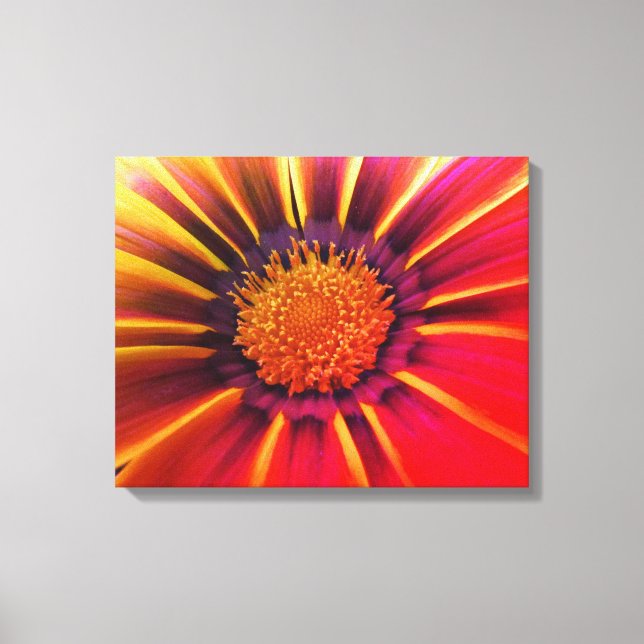 Vivid Color Gerber Daisy Leinwand (Vorderseite)