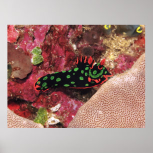 Vivid Nudi Poster