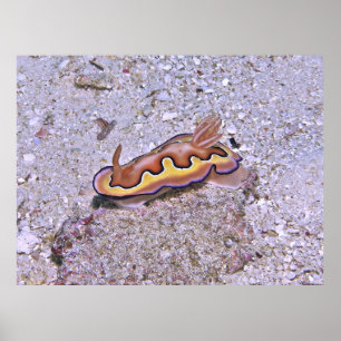 Vivid Nudizweig Poster