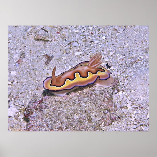 Vivid Nudizweig Poster (Vorne)