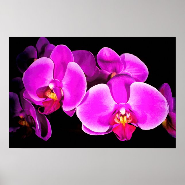 Vivid Orchid Poster (Vorne)