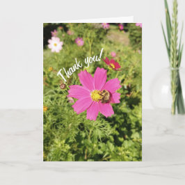 Vivid Pink Cosmos Blume Danke Karte