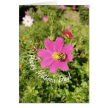 Vivid Pink Cosmos Blume Muttertagkarte