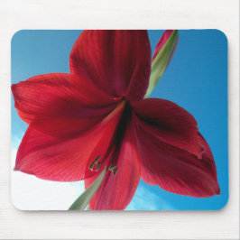 Vivid red Amaryllis Blume Mousepad