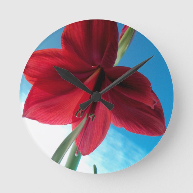 Vivid red Amaryllis Blume Runde Wanduhr (Vorderseite)