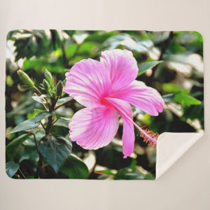 Vivid Tropical Pink Hibiskus Sherpadecke