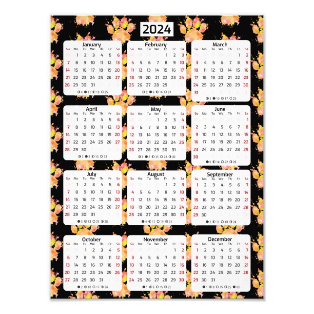 Vivid Watercolor Splash Dog Paw 2024 Kalender Fotodruck (Vorne)