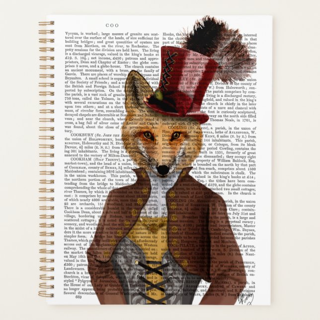 Vivienne Steampunk Fox Planer (Vorderseite)