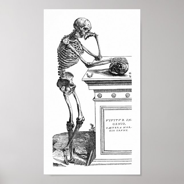Vivitur Ingenio - Skeleton Poster (Vorne)